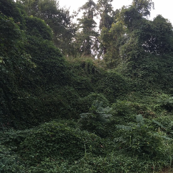 Meet your Posher, David - Picture 9 of 16